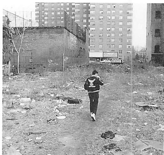 Wasteland in Harlem