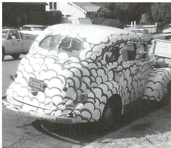 The organic painted car