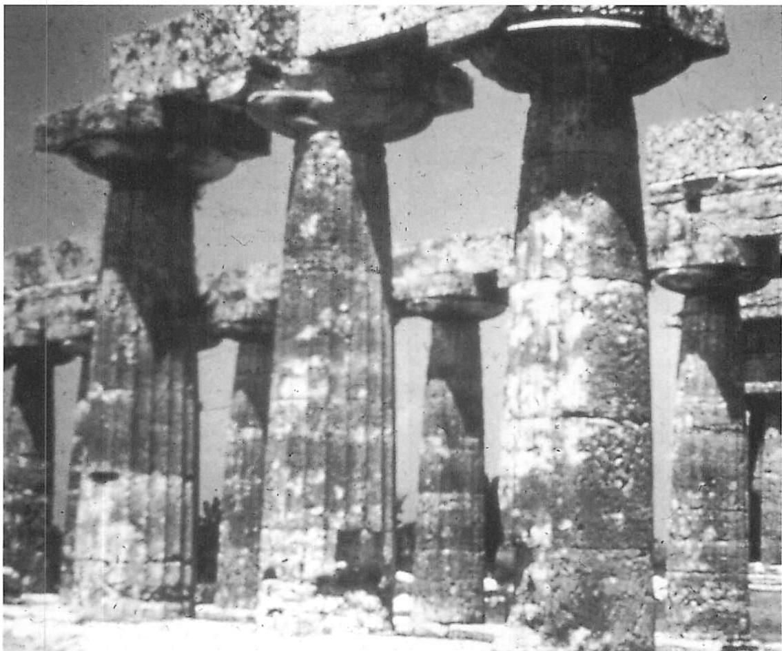 Columns of the Temple of Hera, Paestum