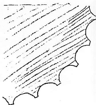 The flutes on one column