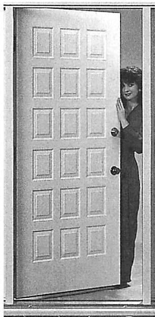 This door seems to have levels of scale, but they don't really work.