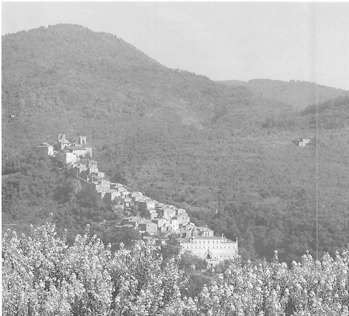 Not-separateness in a village at evening time