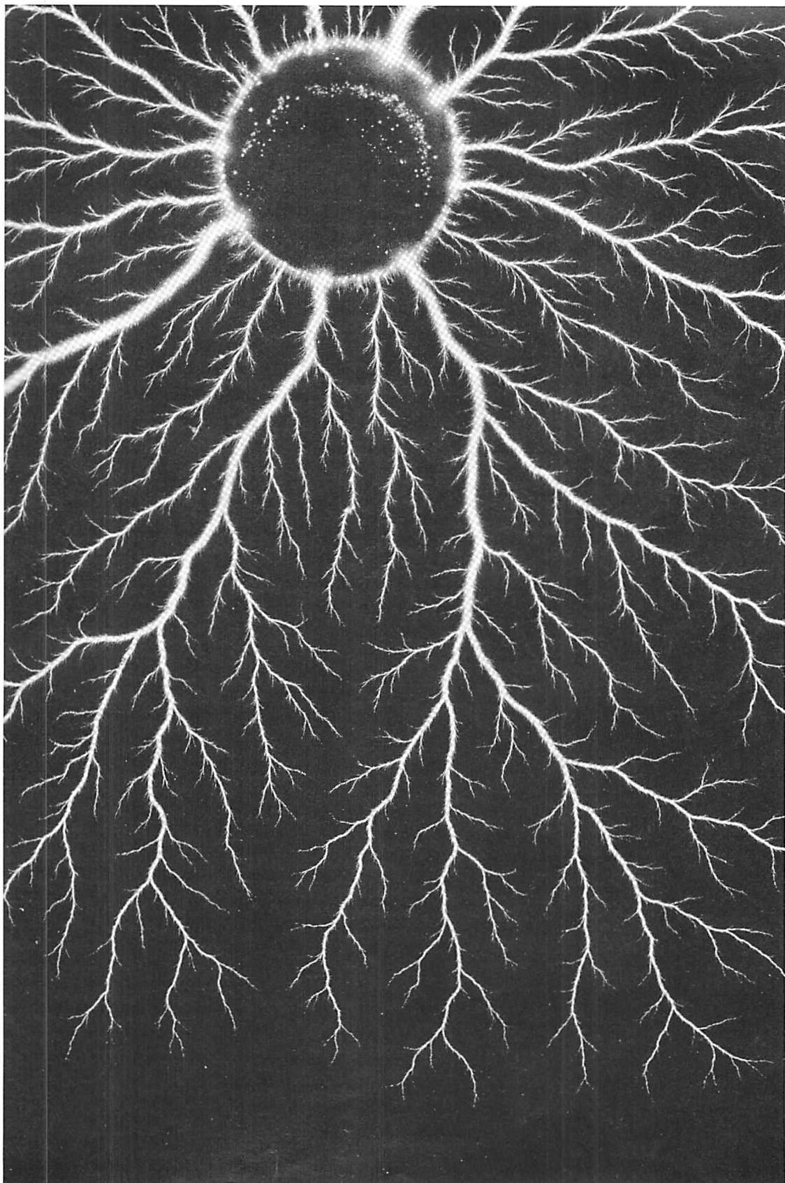 Electric discharge in an electric field