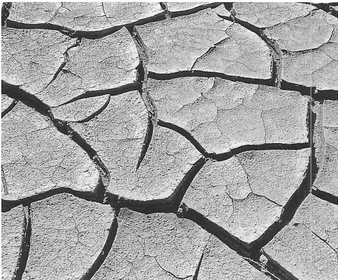 Mud cracks in the surface of the Borro desert show how large coherent pieces, have, within them, less well-defined smaller pieces, which in turn have cracks next to them as a next level down.
