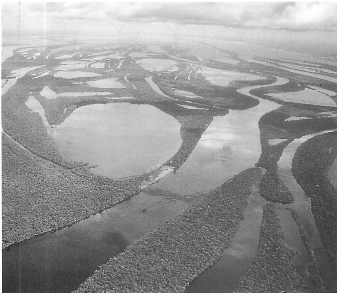 The system of banks and huge boundaries formed by the Rio Negro, where it joins the Amazon