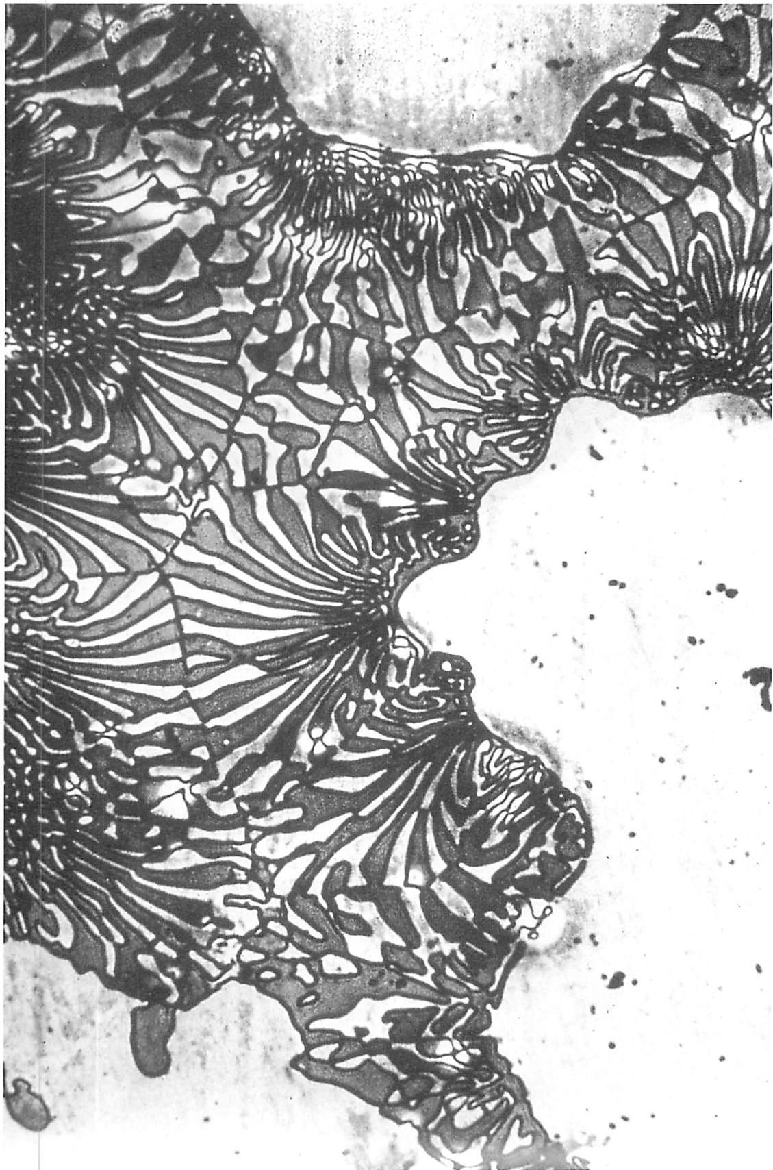 Beryllium-iron alloy draws its strength from the interplay of two contrasting materials.