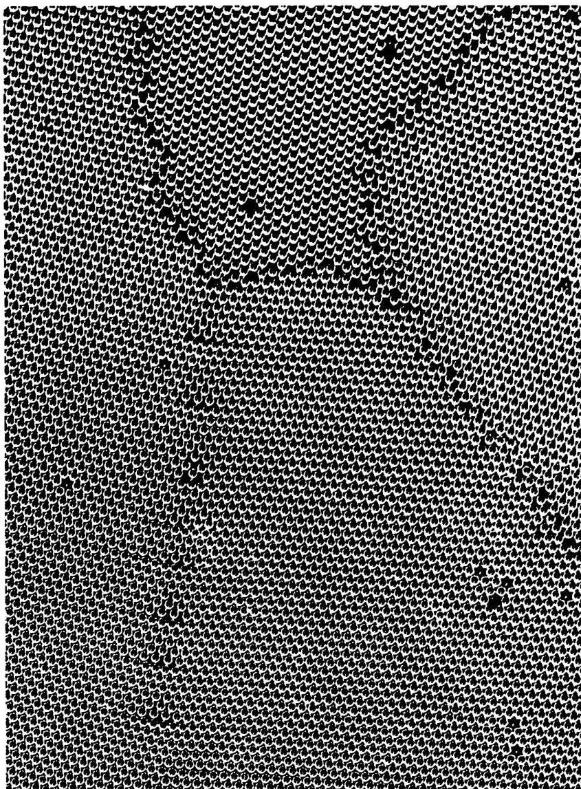 A raft of bubbles, representing crystal dislocations, shows that roughness is inevitable in crystal growth under natural conditions.