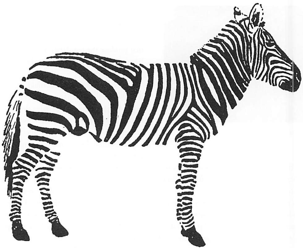 Roughness and apparent irregularity in the zebra's stripes