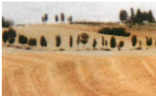 Simplicity of a Tuscan landscape