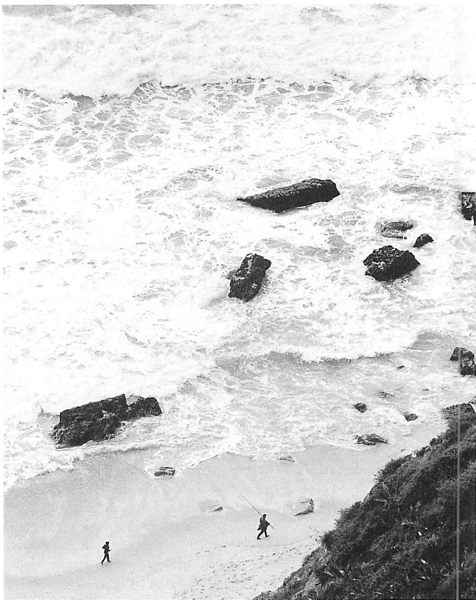 Wild waves on the ocean shore