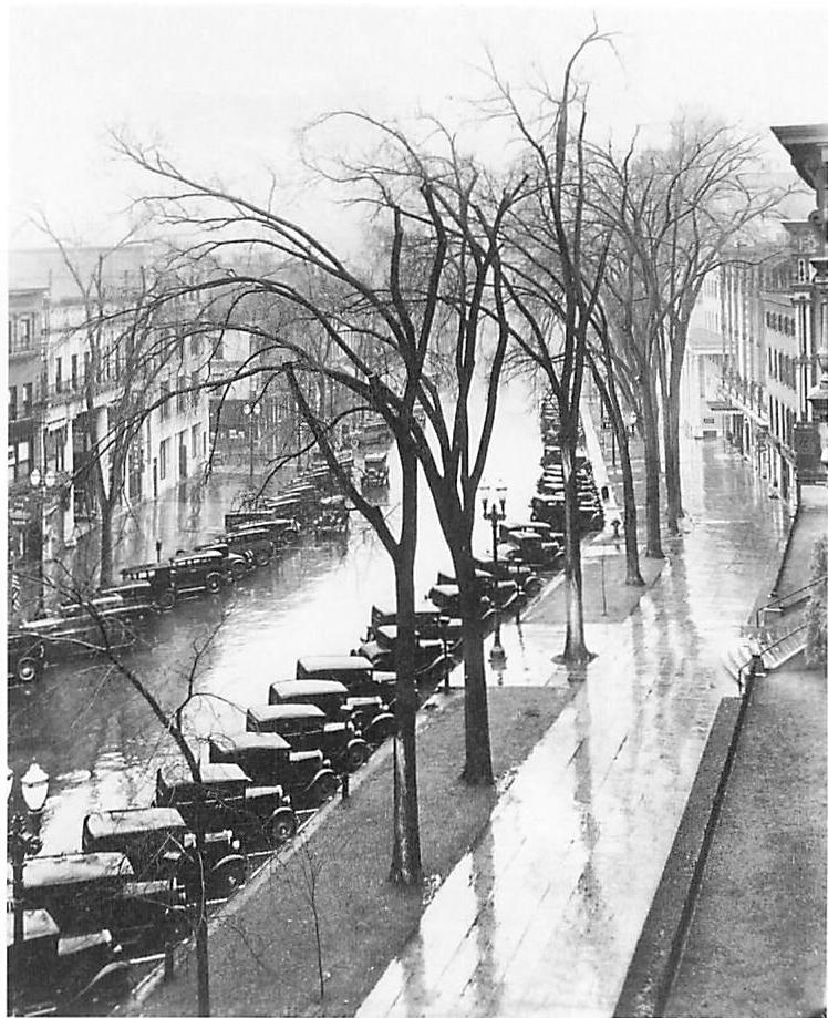 Tree-lined street with old cars