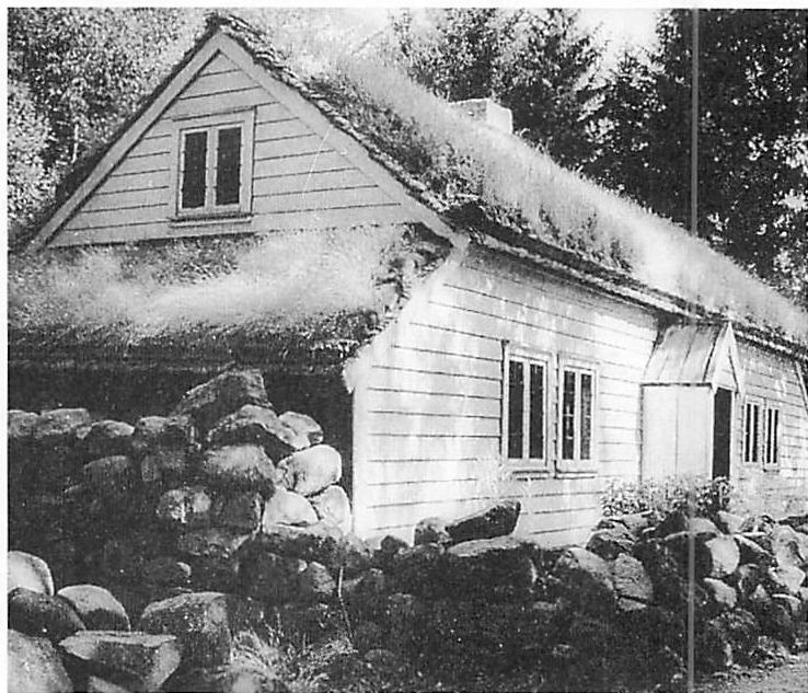 Swedish traditional house with grass turf roof
