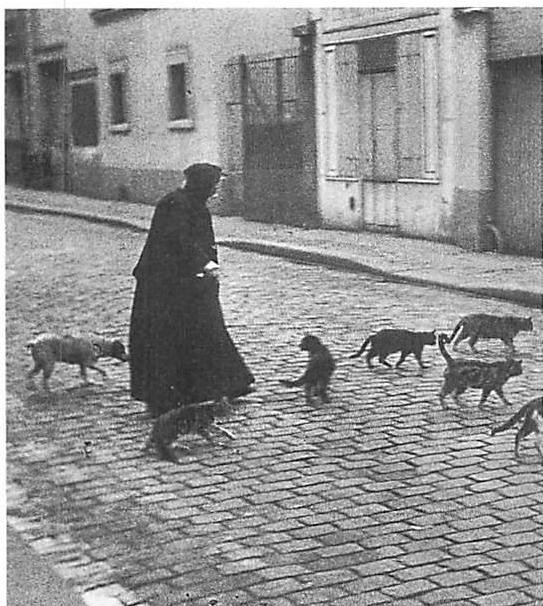 The old lady takes her cats across the street