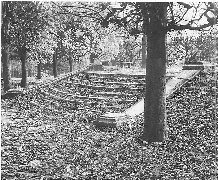 Dead leaves fill the gaps, memories and dust