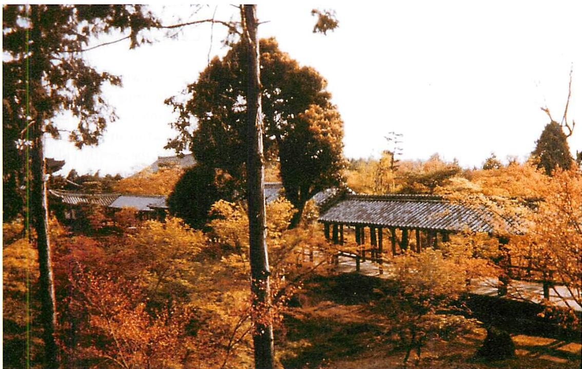 The bridge at Tofuku-ji