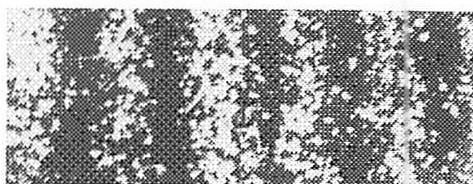 Enlargement of the interference fringes shows individual dots of light made by individual electrons, thus showing that electrons go one at a time, like bullets. Yet the interference fringes are caused by wave behavior. It is this crucial point which shows that the electrons must be moving under the influence of some guiding wholeness of the configuration.