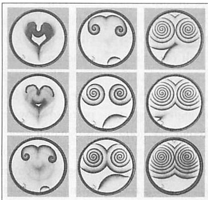 The Belousov-Zhabotinski process. See chapter 1