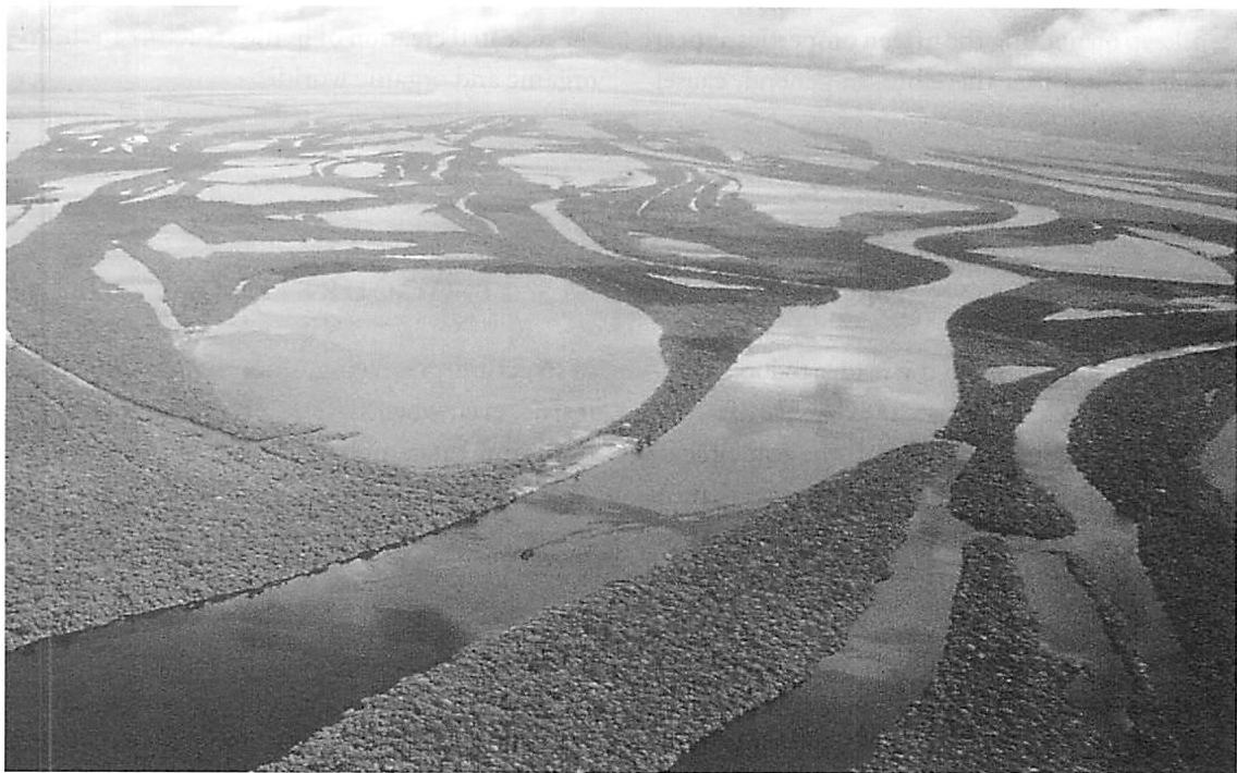 Boundaries created by hydrodynamic process of silting at the edges of stream flow: formation where the Rio Negro runs into the Amazon