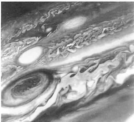Similar vortices on the surface of Jupiter