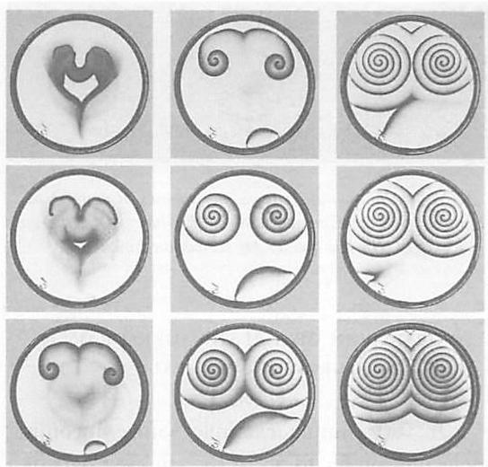 The Belousov-Zhabotinski reaction: waves in a chemical system
