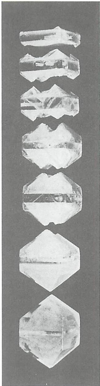 Growth of a crystal as a whole: stages of capping process in growth of a crystal of ammonium dihydrogen phosphate
