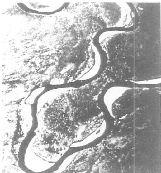 Strong centers and good shape formed by mechanical process: meandering loops are formed by centrifugal processes in the evolution of a river