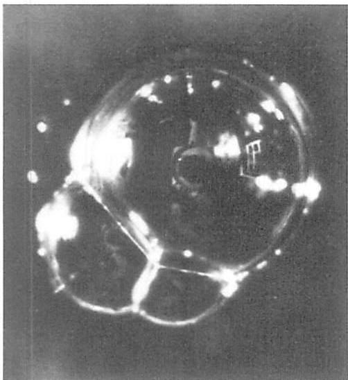 A spherical soap bubble, or complex system of bubbles, takes that shape which has the configuration of least potential energy.