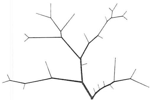 Diagram of constant branching angle