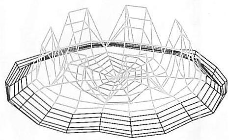 Computer simulations of the order-seeking process which generates the cap, the indented cap, and then the whorl