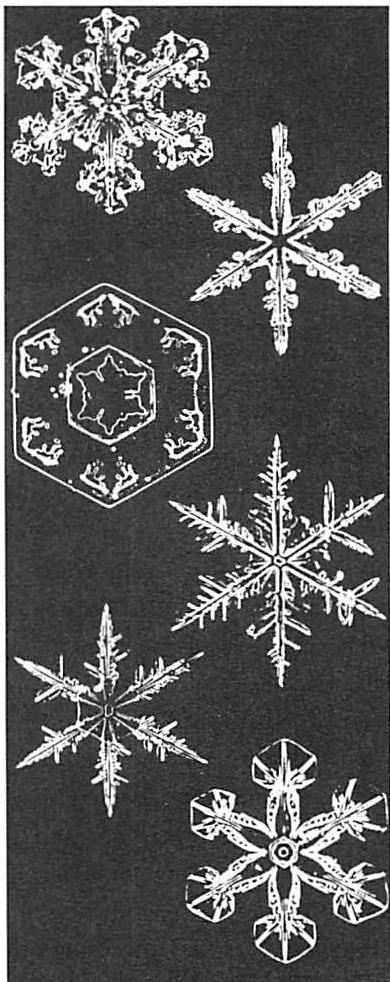 Different naturally occurring snowflakes. Note the second-order symmetries which make each arm similar to the other arms in great detail, with no obvious mechanical explanation of how this happens.