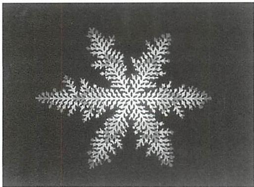 Diffusion-Aggregation simulation of a snowflake made by H. Eugene Stanley. Though broadly accurate as a loose generalized picture of a snowflake, the deep structure of the local symmetries inside the arms that we observe in nature, and the similarities from arm to arm, are not even remotely as pronounced — indeed are barely visible at all, in the simulation.