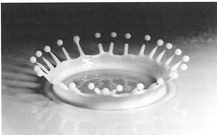 Centers forming during the unfolding of a milk-drop splash. The full sequence of which this is a part has already been shown on page 25. Detailed discussion and explanation of the structure-preserving transformation which creates this particular phase is given on page 66.