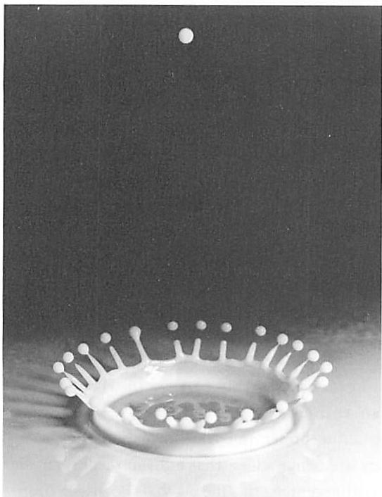 LEVELS OF SCALE forming in a milk-drop splash