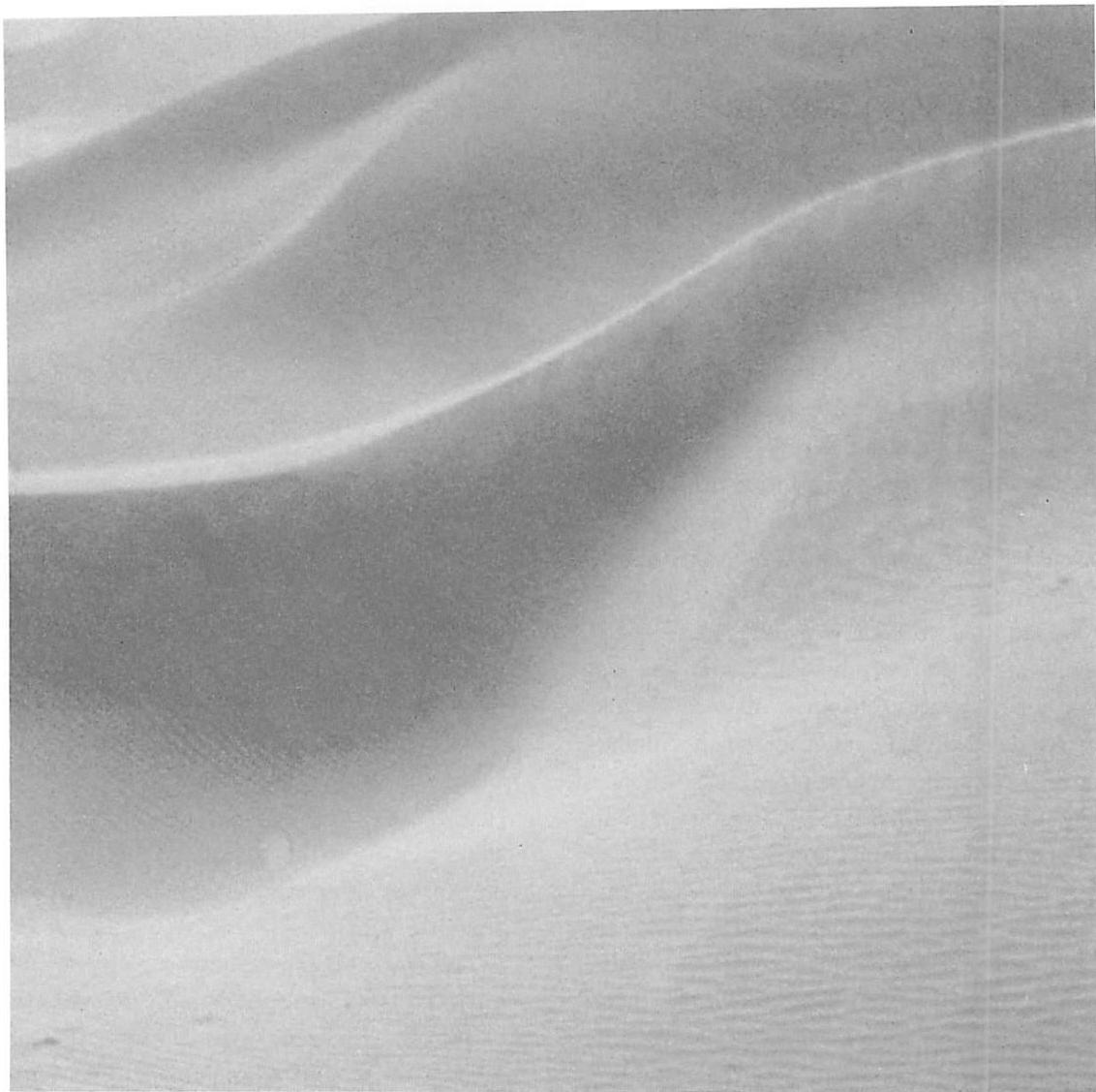 ALTERNATING REPETITION: waves and spaces between the waves in wind-blown sand in the sand dunes of the Sahara