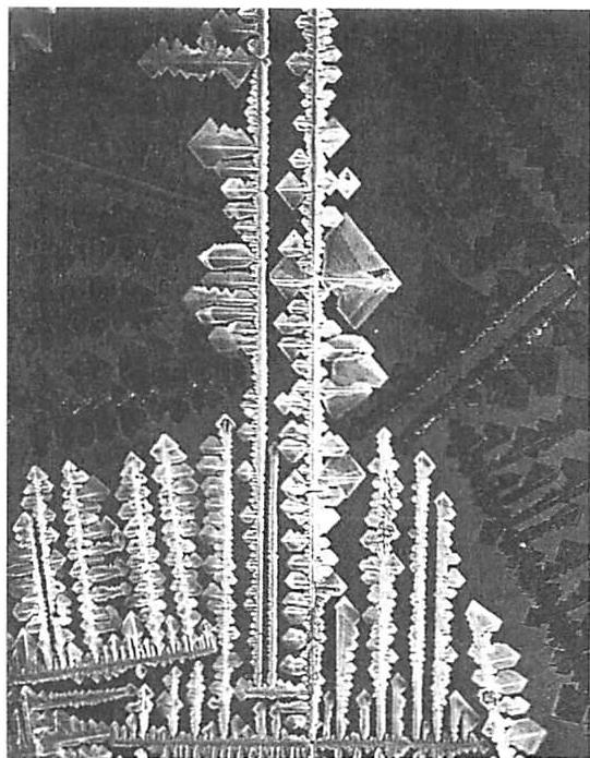 ROUGHNESS developing in crystal growth