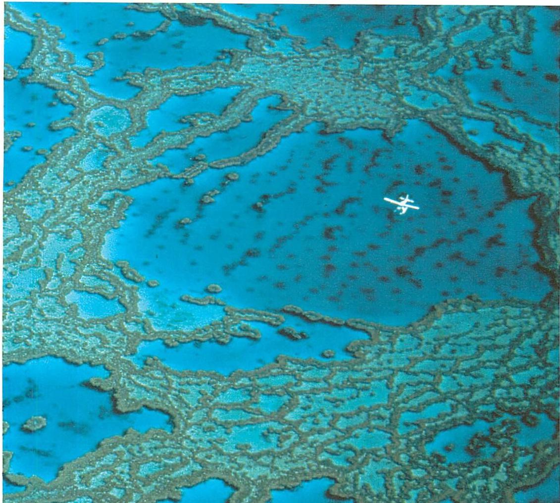 VOIDS in the formation of the Great Barrier Reef