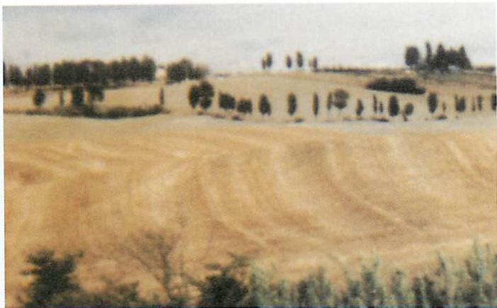 INNER CALM in a Tuscan landscape