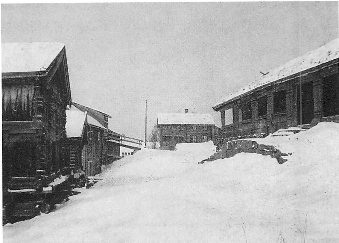 A Norwegian farm in winter. The buildings sit so close to the ground that they seem to be a part of it; the snow just runs around them.