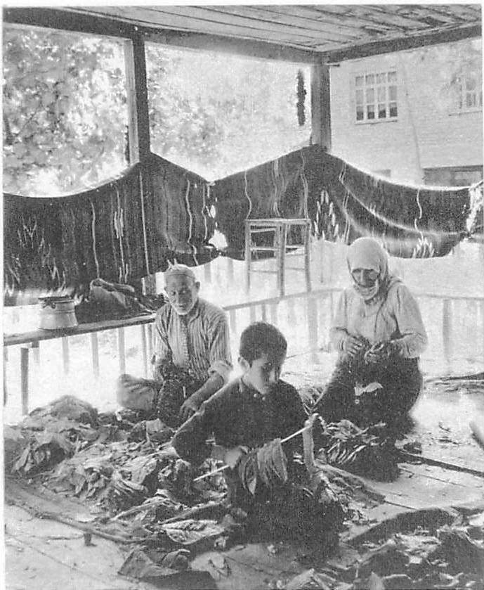 To this Turkish family, sitting on the veranda, the love of daily life makes it possible to grasp the whole and build all the details which preserve and extend the structure of their daily actions.
