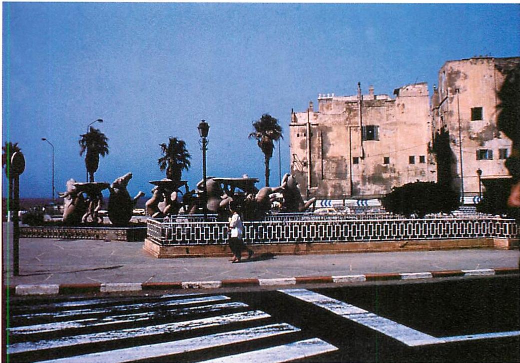 The sea front of old Algiers