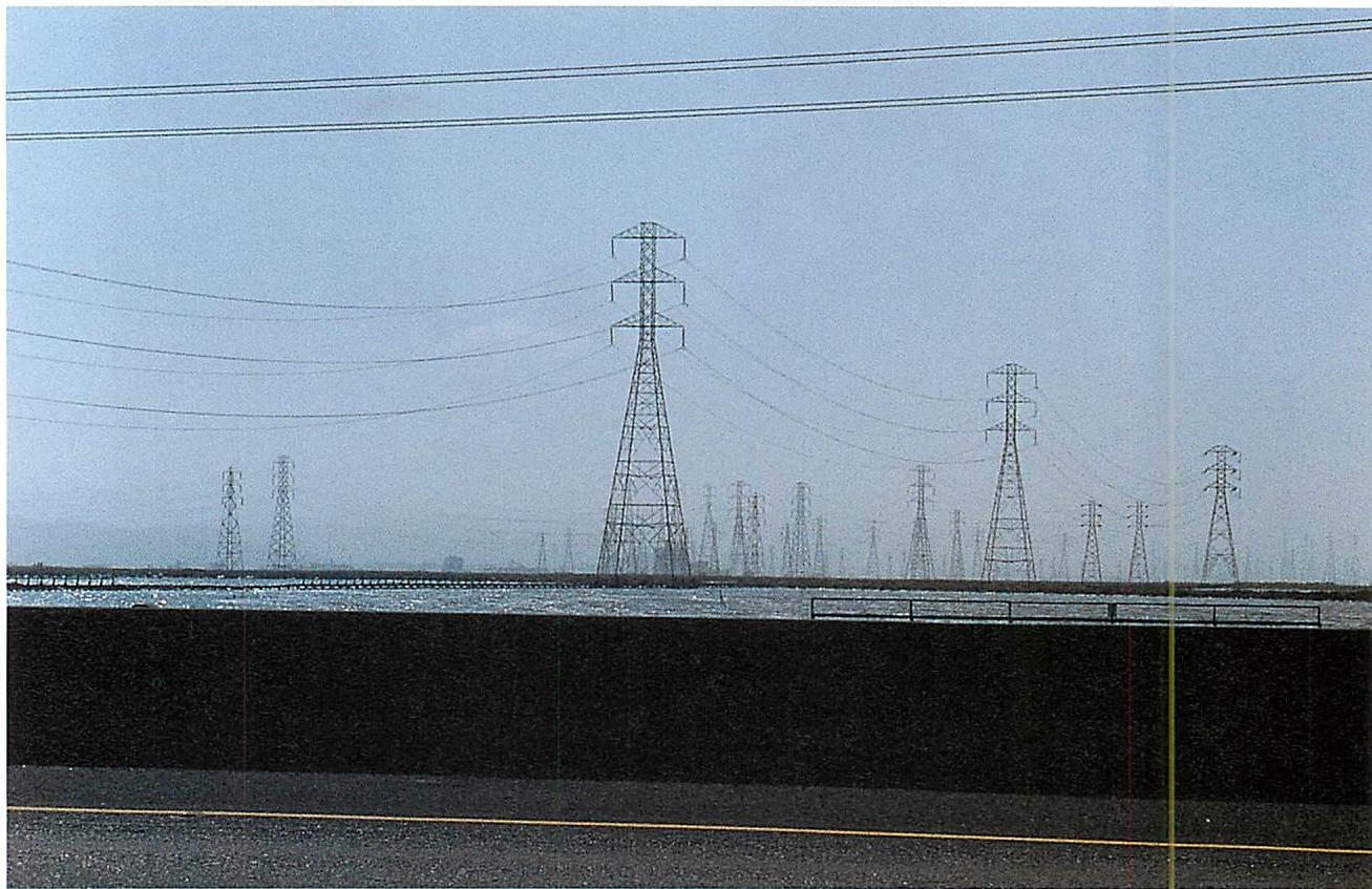 These towers might easily be dismissed as ugly by an ardent nature lover, but I believe they are structure-preserving.