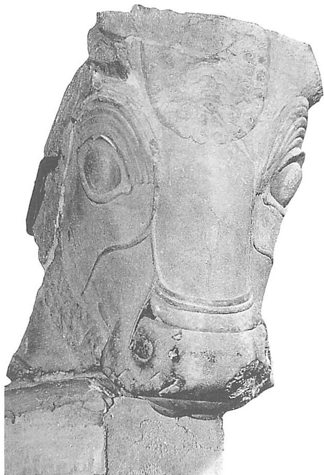 Highest example of generated complexity: Greek carving of a horse, 6th century B.C. Look at the eyes, the head, the forehead ornament, the strap around the nose—each part has been transformed, by transformations originating in the whole, to have POSITIVE SPACE and GOOD SHAPE which thus intensify the whole.
