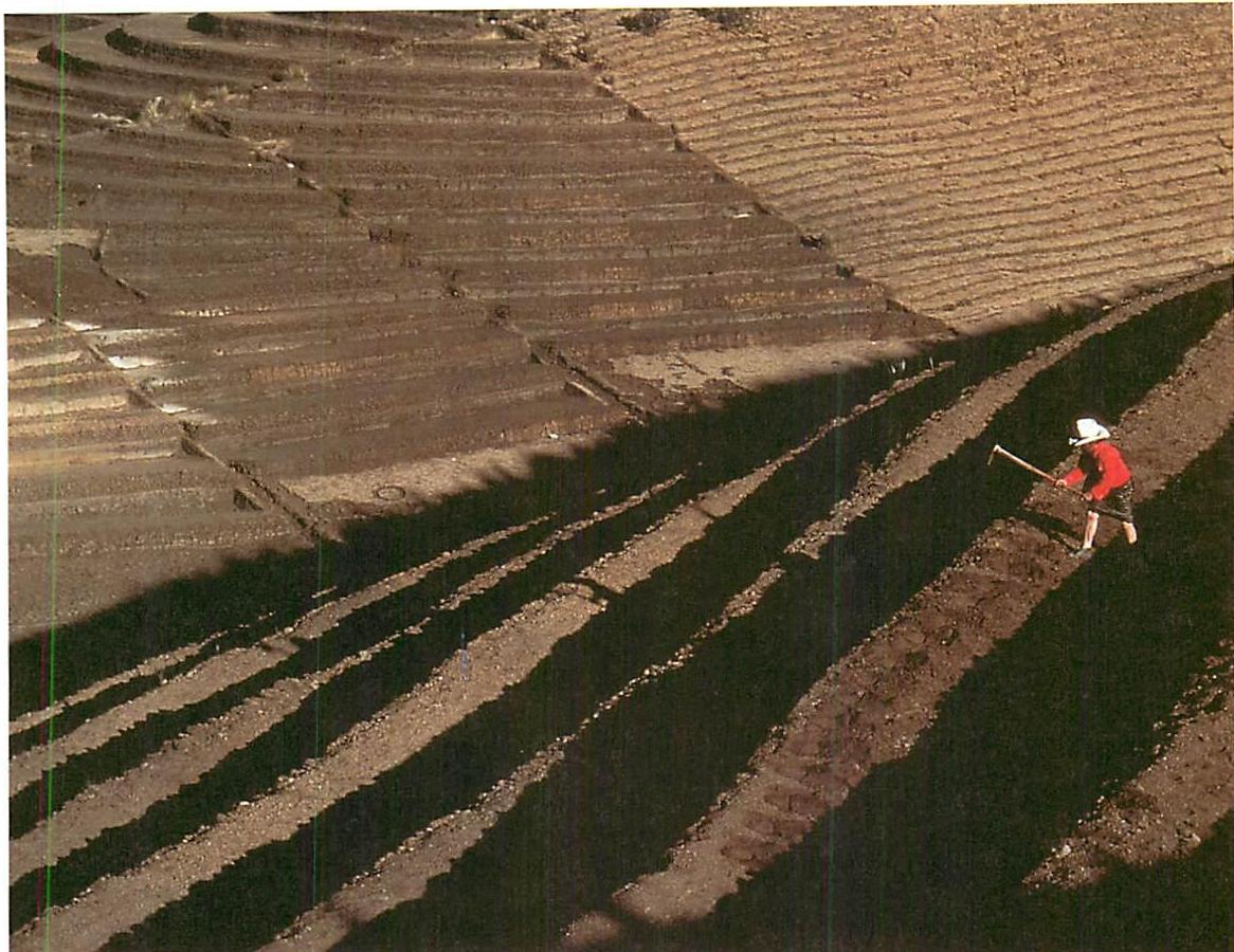Guatemalan farmer forming and preparing his terraces; both an individual process, and an accretive process.