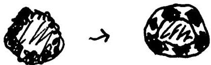 Further differentiation of the boundary, by alternating repetition and positive space