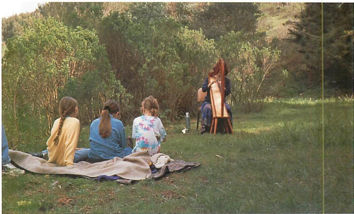 Result of the application of the fundamental process: a completed meadow. This picture shows a harp concert in one of the meadows completed by Bill McClung.