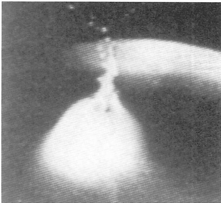 The beautiful, complex shape of a falling water drop