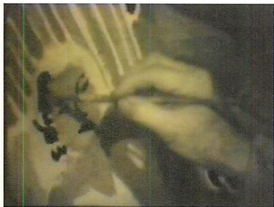 Step 5 in the process