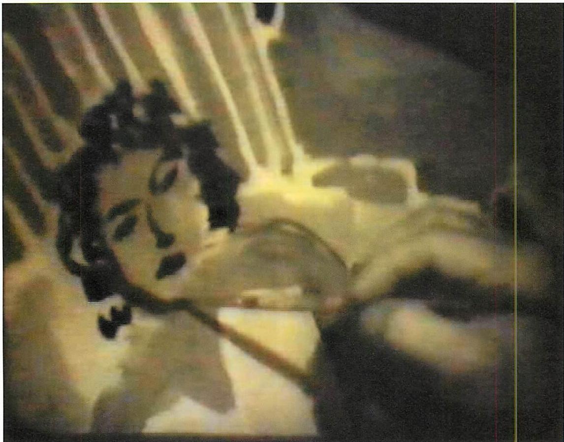 Last frame of the painting, seen at full size