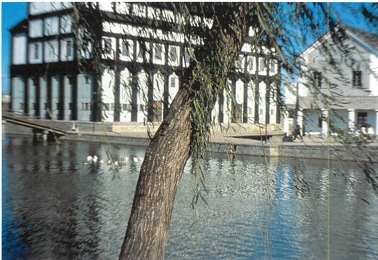 Not an ancient style: but essentially a building without style, that follows directly from the structure-preserving transformations, according to the simplest moves. The Great Hall of the Eishin campus.