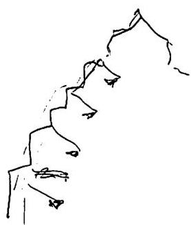 Carpet niche: the design made of many local symmetries